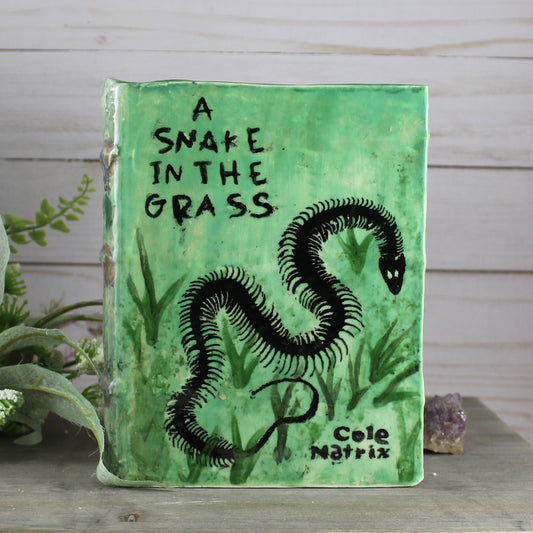 Ceramic Book Vase - A Snake in the Grass